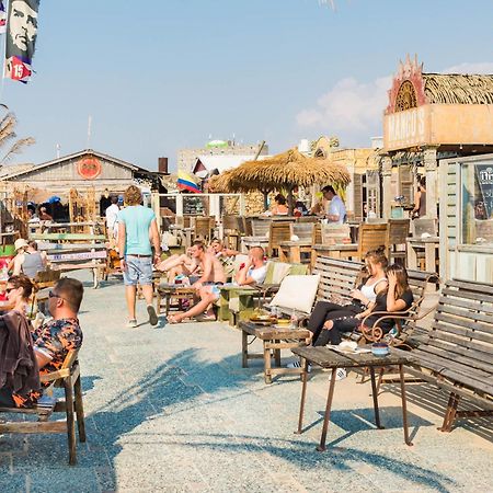 Albatros Aan Zee - Apartment Zandvoort Dış mekan fotoğraf