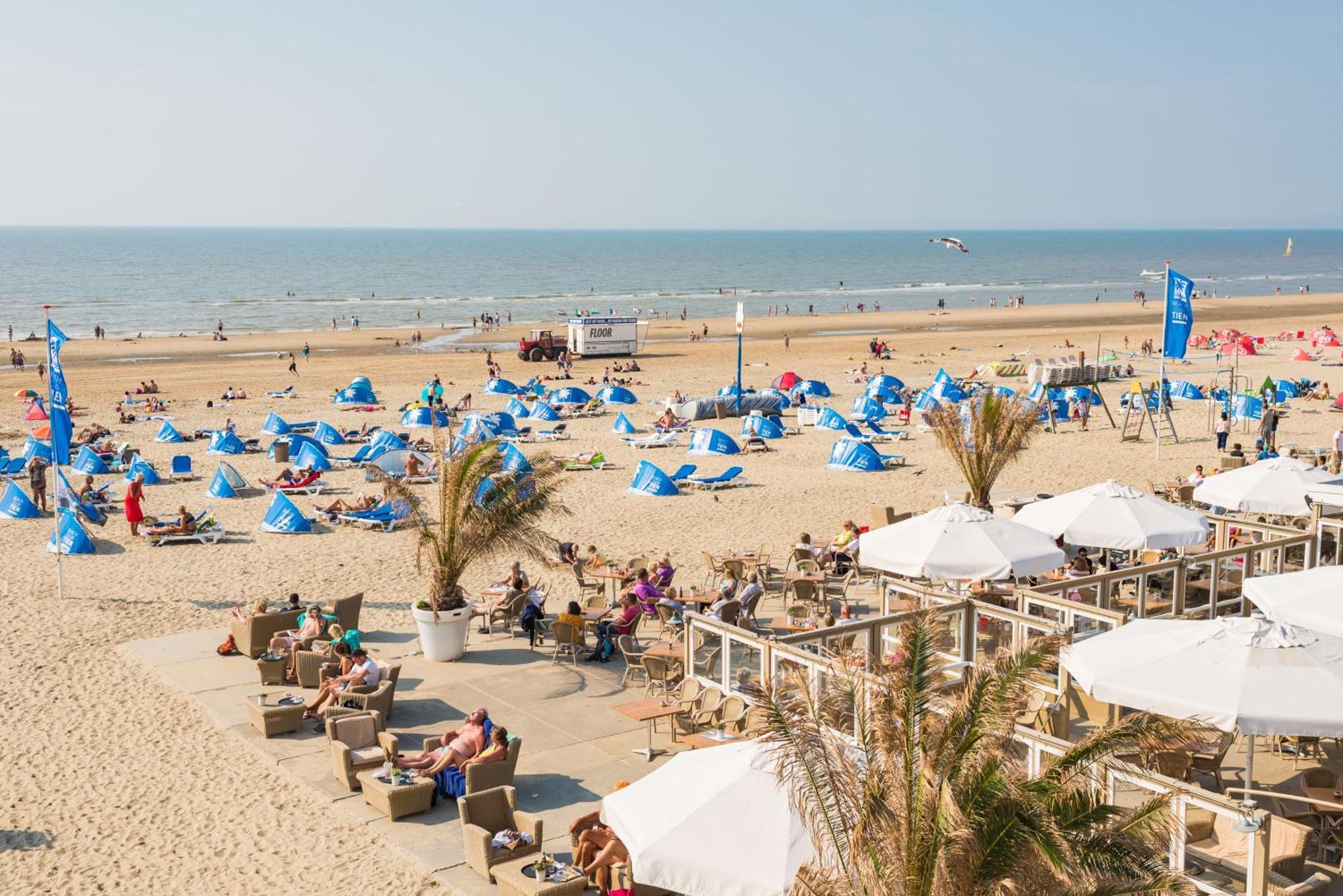 Albatros Aan Zee - Apartment Zandvoort Dış mekan fotoğraf
